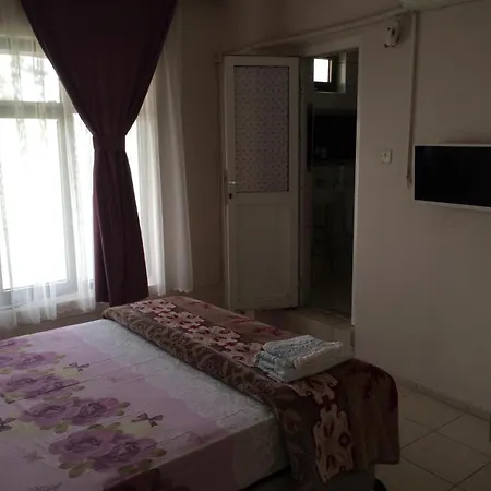 Проживание в семье Mandalya